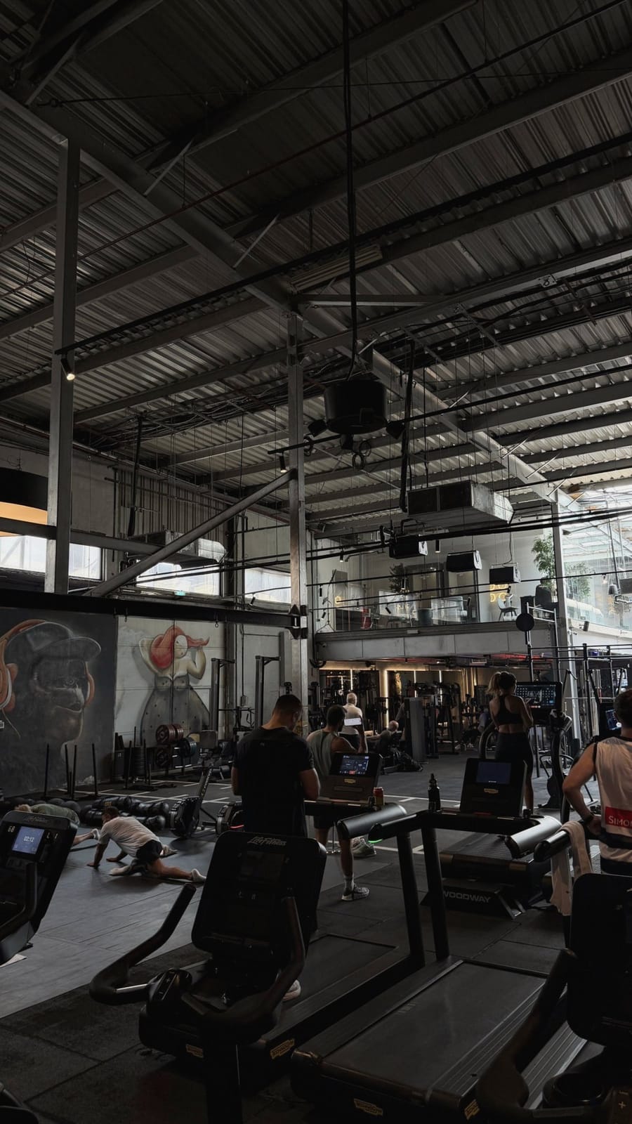 A gym floor with treadmills, racks and murals